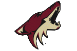 ARIZONA COYOTES